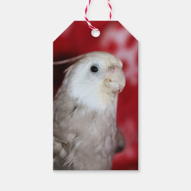 Etiqueta Para Presente Réplicas (Frente)