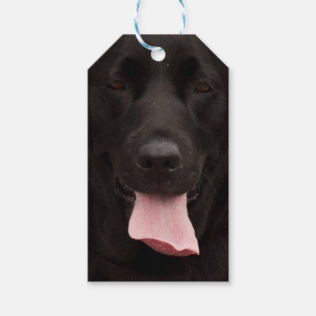 Etiqueta Para Presente Retrato de cão negro (Frente)