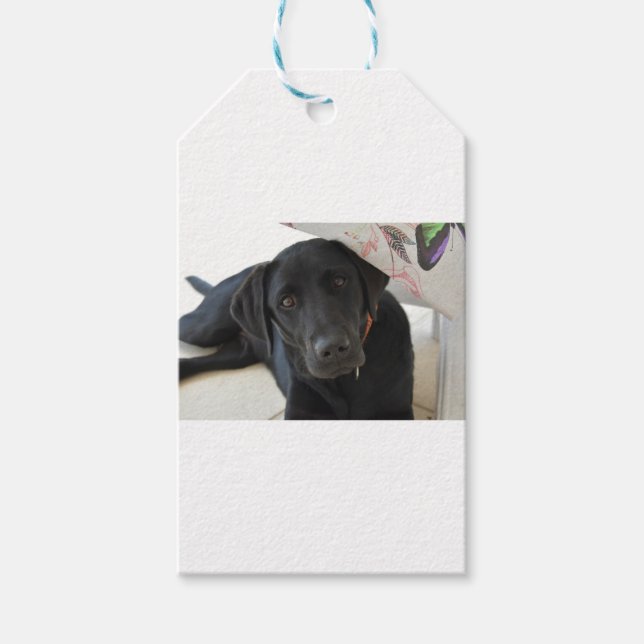 Etiqueta Para Presente Retriever Black Labrador Personalizável (Frente)