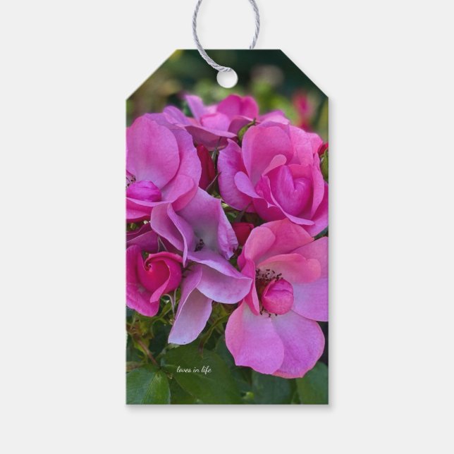 Etiqueta Para Presente Rosa Rosa Lavanda (Frente)