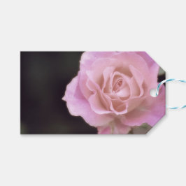 Etiqueta Para Presente Rosa rosa magnífica