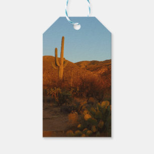Etiqueta Para Presente Saguaro Sunset I Arizona Desert Landscape