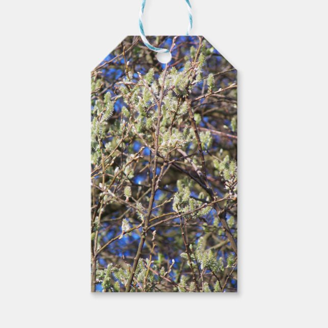 ETIQUETA PARA PRESENTE SALGUEIRO DE PRIMAVERA (Frente)