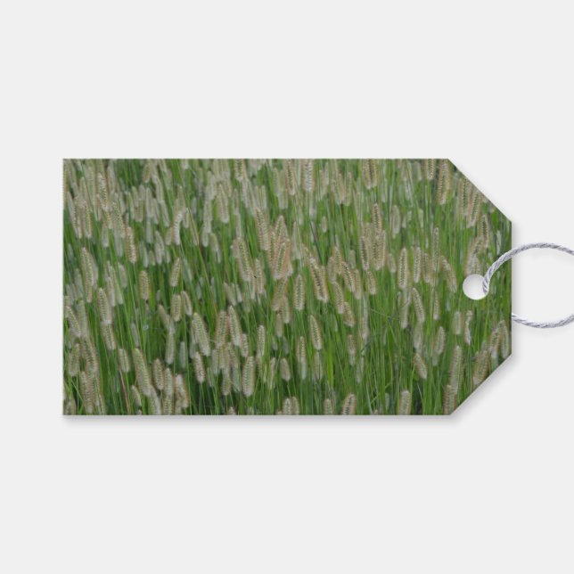 Etiqueta Para Presente Sementes De Grãos Verdes Altas (Frente (horizontal))