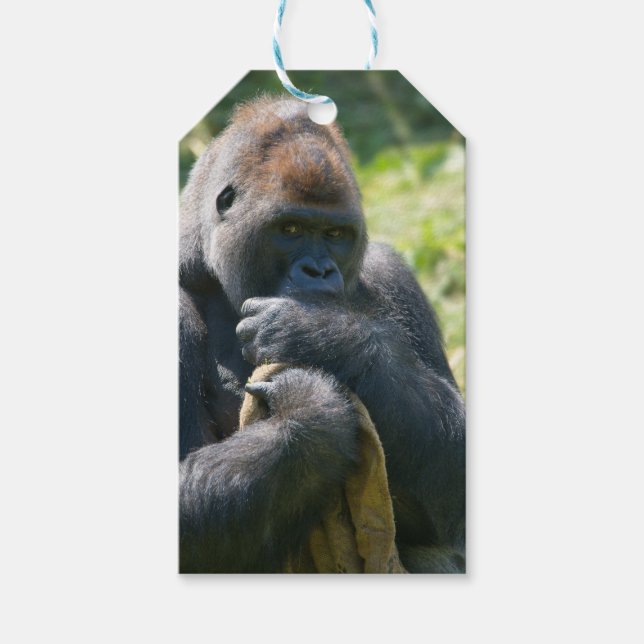 Etiqueta Para Presente Silverback Gorilla E Seu Banheira (Frente)