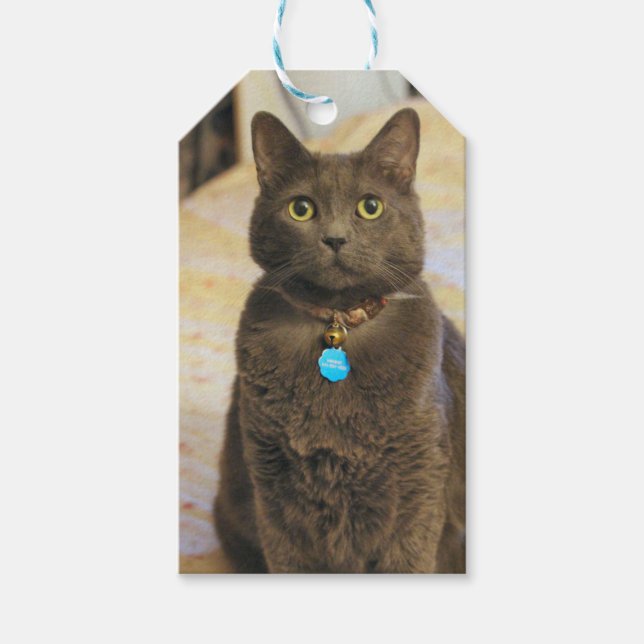 Etiqueta Para Presente Sinais (Frente)