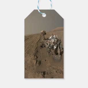 Etiqueta Para Presente Sondagem Curiosity em Marte Paisagem Marciana Verm