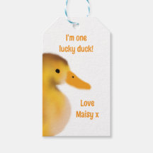 Sou o Favor do pato da sorte