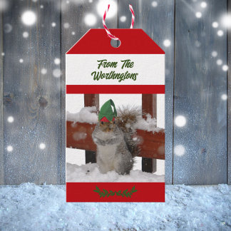 Etiqueta Para Presente Squirrel in Green Hat Snowy Red and White 