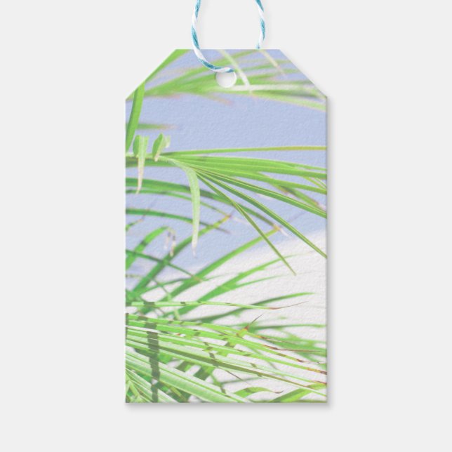 Etiqueta Para Presente Summer Vibes Palm Tree deixa verde-claro (Frente)
