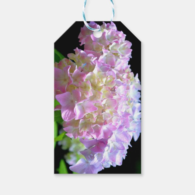 Etiqueta Para Presente Sussurro da manhã - Hydrangeas (Frente)