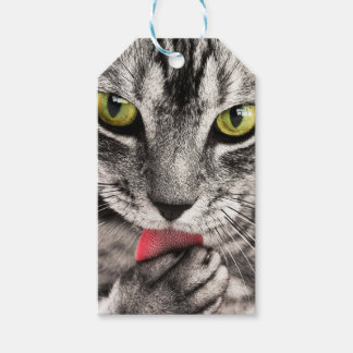 Etiqueta Para Presente Tabby Cat Licing Paw