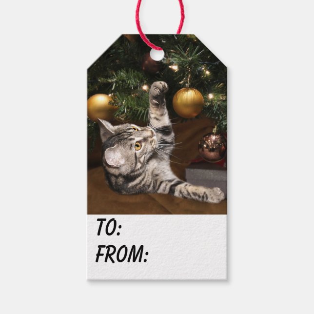 Etiqueta Para Presente Tabby Kitty Cat Natal (Frente)