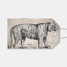 Tiger Vintage Wildlife Grunge Decorative