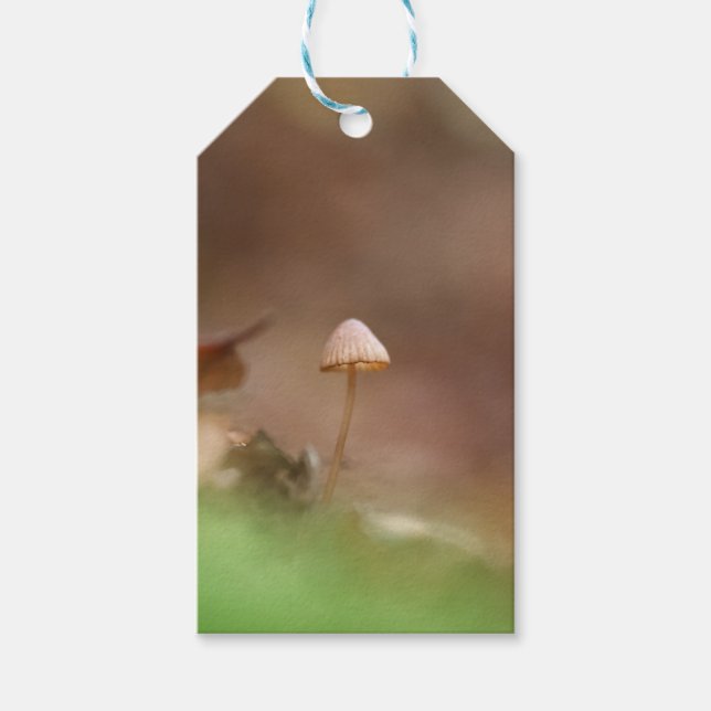 Etiqueta Para Presente Tiny Mushroom Nature Foto (Frente)