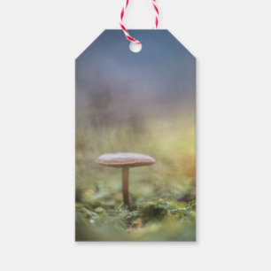Etiqueta Para Presente Tiny Mushroom Nature Foto