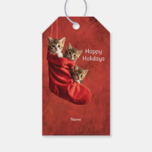 Três gatinhos numa Etiqueta de Presente de Meia de