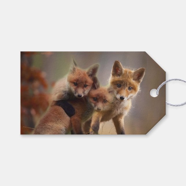Etiqueta Para Presente Tripletes Foxy (Frente (horizontal))