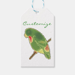 Etiqueta Para Presente Tropical Green Parakeet Thunder_Cove