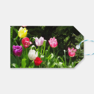 Etiqueta Para Presente Tulipas Coloridas Tag de presente DIY