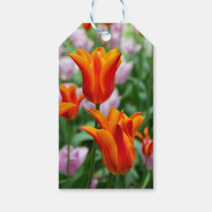 Etiqueta Para Presente Tulipas laranja-claras no parque