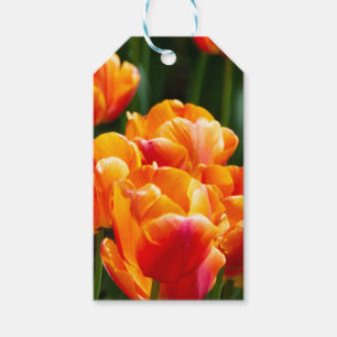 Etiqueta Para Presente Tulipas laranja-claras no parque
