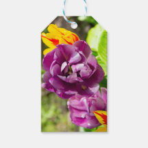 Tulipas lilás num dia ensolarado