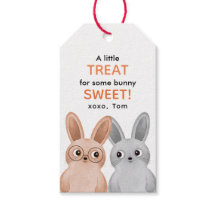 Um pequeno presente para coelhos bonitinhos e boni