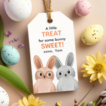 Um pequeno presente para coelhos bonitinhos e boni