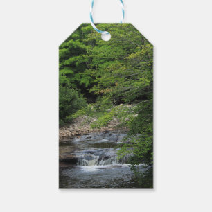 Etiqueta Para Presente Uma cachoeira diminuta