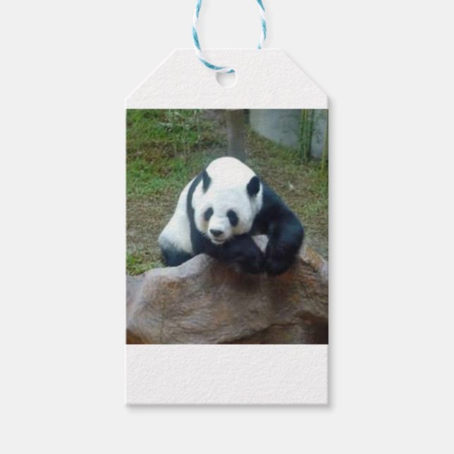 Etiqueta Para Presente Urso Panda Chinês (Frente)