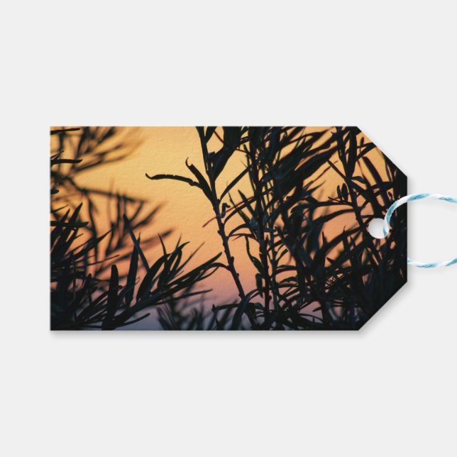 Etiqueta Para Presente Vegetação no pôr do sol (Frente (horizontal))