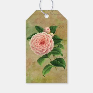 Etiqueta Para Presente Vintage Camellia Botânica Francesa