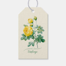 Vintage Yellow Rose Fine art