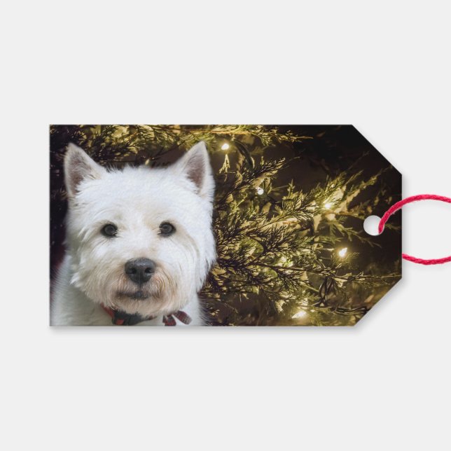 Etiqueta Para Presente Westie Christmas (Frente (horizontal))