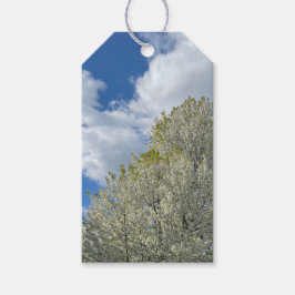 Etiqueta Para Presente White Tree Blue Sky Clouds Photo