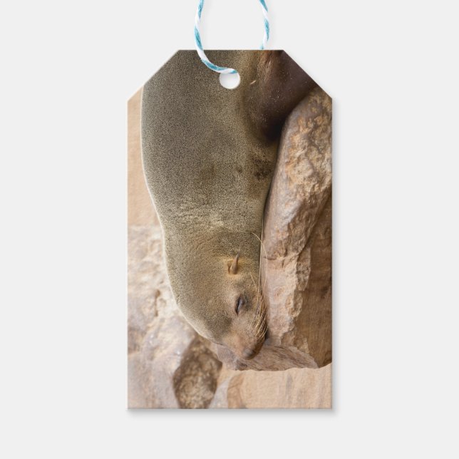 Etiqueta Para Presente Young sea lion (Frente)