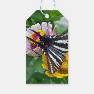 Etiqueta Para Presente Zebra Swallowtail+Besouro Japonês