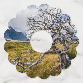 Etiqueta Para Taça De Vinho Árvore queimada, Torres del Paine, Chile