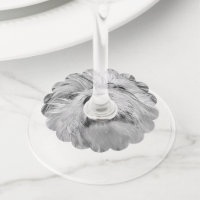 Cão Coton de Tulear