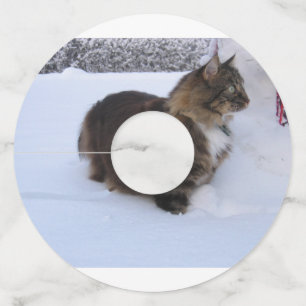 Etiqueta Para Taça De Vinho gato floresta norueguesa na neve