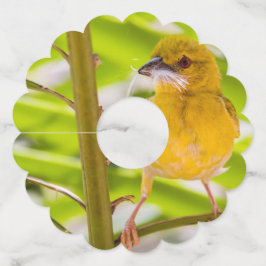 Etiqueta Para Taça De Vinho Hora de construir o ninho