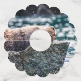 Etiqueta Para Taça De Vinho Leão-Do-Mar Na Baía De Ressurreição, Alasca