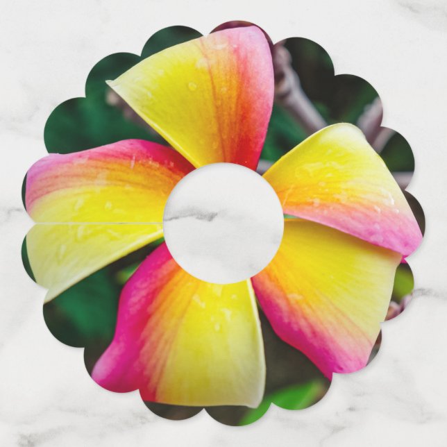 Etiqueta Para Taça De Vinho Plumeria rubra (Verso)