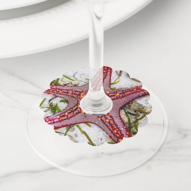 Etiqueta Para Taça De Vinho Starfish, Zanzibar, Tanzânia (Close Up)