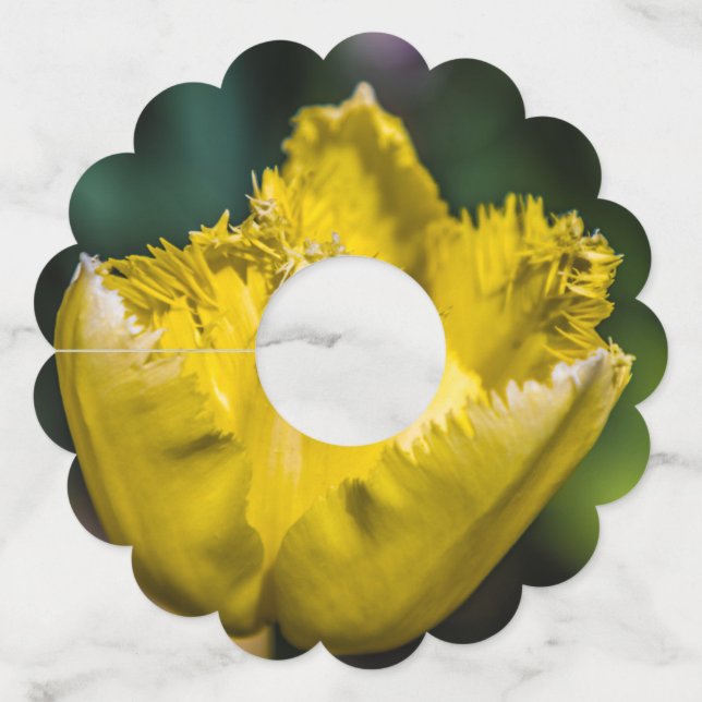 Etiqueta Para Taça De Vinho Tulipa Amarela (Frente)