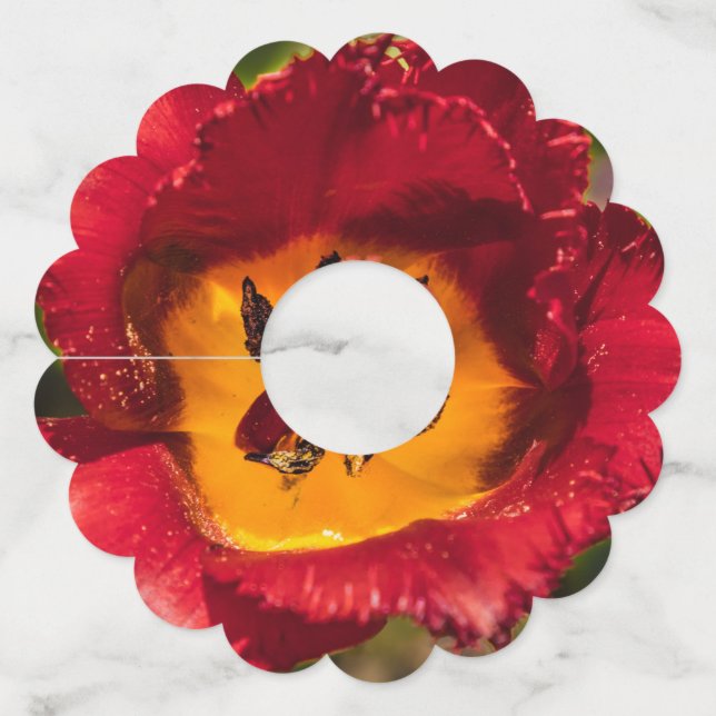 Etiqueta Para Taça De Vinho tulipa vermelha (Verso)