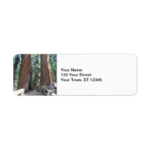 Parque Nacional Sequoia