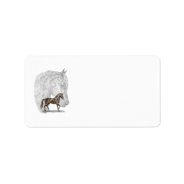 Etiqueta Paso Fino Horse Art (Frente)