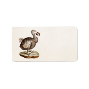Etiqueta Pássaros do Dodo dos 1700s da ilustração do